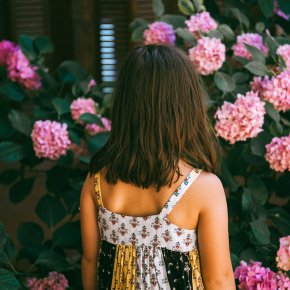 Popular Apology Flowers That Say "I Messed Up"