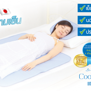 HIRAKAWA Cool Gelmat แผ่นรองนอนเย็น คืออะไร ? 