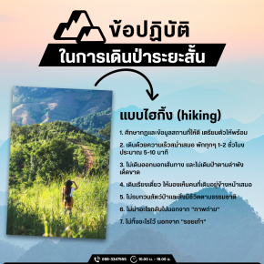 ข้อปฏิบัติในการเดินป่าระยะสั้นแบบไฮกิ้ง (hiking)