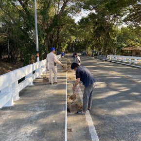 ลงพื้นที่ตัดต้นไม้และกิ่งไม้รวมถึงทำความสะอาดและจัดเก็บขยะ