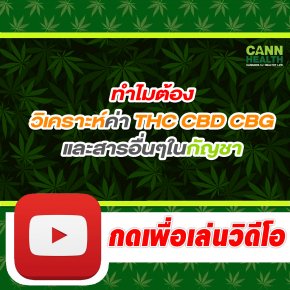 ทำไมต้องวิเคราะห์ค่า THC CBD CBG และสารอื่นๆในกัญชา | อ.รสสุคนธ์ ธนธีระบรรจง | CANNHEALTH