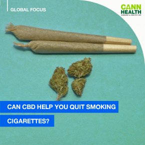 Can CBD Help You Quit Smoking Cigarettes?