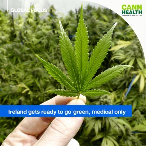 Ireland gets ready to go green, medical only