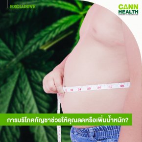 การบริโภคกัญชาช่วยให้คุณลดหรือเพิ่มน้ำหนัก?