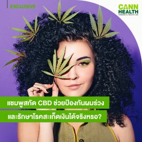 แชมพูสกัด CBD ช่วยป้องกันผมร่วงและรักษาโรคสะเก็ดเงินได้ไหม?