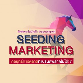 Seeding Markting คืออะไร? จำเป็นไหม?