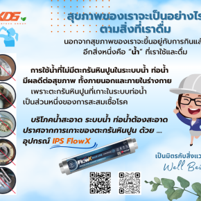 น้ำดี ดีต่อคุณอย่างไร (เบื้องต้น)