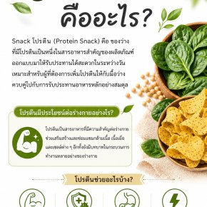 What Is a Protein Snack?