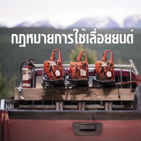 กฎหมายการใช้เลื่อยยนต์
