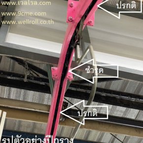 รางโซ่แขวน(overhead chain conveyor)