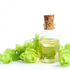 Miracle of Hops for Skin Care 
