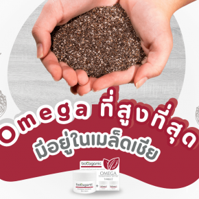 Omega 369 โอเมก้าสูง เมล็ดเจีย เมล็ดเชีย บาล์มโอเมก้า โอเมก้าบาลืม ทาผิวเด้ก ผิวแพ้ง่าย บาล์มทายุงกัด บาล์มแก้แพ้ บาล์มทาผื่น