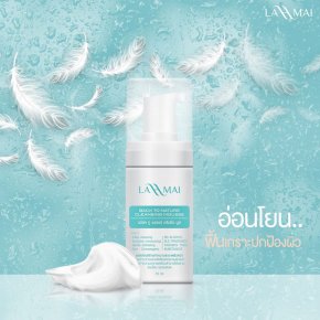 BACK TO NATURE CLEANSING MOUSSE โฟมสลายฝ้า