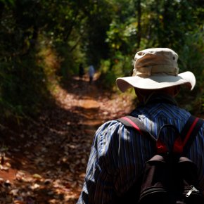 Full Day Experience 5 Hill Tribes Trek (Palong)