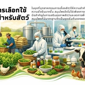 หลักในการเลือกใช้สมุนไพรสำหรับสัตว์