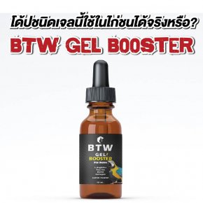 โด้ปชนิดเจลนี้ใช้ในไก่ชนได้จริงหรือ? ด้วย “BTW Gel Booster for Birds” โดย ผศ.น.สพ.ดร.สมโภชน์ วีระกุล