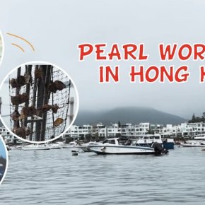 Pearl workshop in hong kong