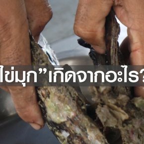 ไข่มุกเกิดจากอะไร??? 