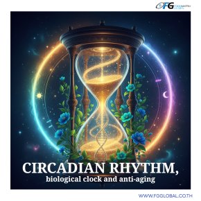 Circadian rhythm, biological clock and anti-aging
