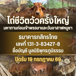 ด่วน พบโคกระบือ ในพื้นที่จังหวัดกาญจนบุรี กำลังถูกนำไปส่งโรงเชือด เราจะช่วยกันไถ่ชีวิตวัวครั้งใหญ่เท่าที่จะทำได้
