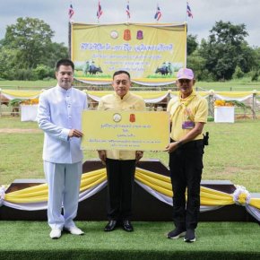 มูลนิธิพุทธภูมิธรรม ส่งโค-กระบือ จำนวน 72 ตัว ที่หมู่คณะ, ญาติธรรมและกัลยาณมิตรทุกท่านร่วมบุญไถ่ชีวิตกันมา มอบให้กับกองทัพภาคที่ 1