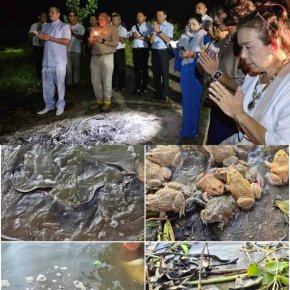 บุญของท่านสำเร็จแล้ว มูลนิธิพุทธภูมิธรรม เป็นตัวแทนท่านทำบุญทำทานปล่อยปลา กบ เต่า หอย ณ จังหวัดสกลนคร