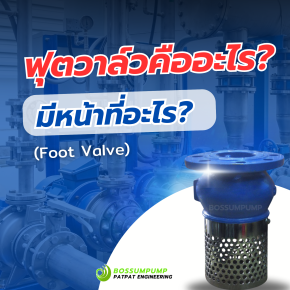 ฟุตวาล์ว (Foot Valve) คืออะไร มีหน้าที่อะไร