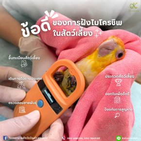 ข้อดีของการฝังไมโครชิพ