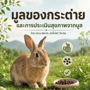 มูลของกระต่าย และการประเมินสุขภาพจากมูล
