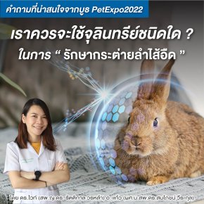 Which Microorganisms Should We Use to Treat Gastrointestinal (GI) Stasis in Rabbits?