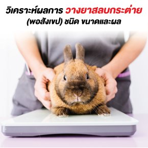 EP1. ถึง EP2. วิเคราะห์ผลการวางยาสลบกระต่าย (พอสังเขป) ชนิด ขนาดและผล