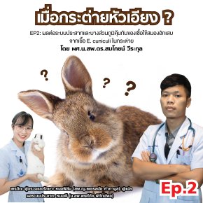 กระต่ายหัวเอียง EP2: ผลต่อระบบประสาทและบางส่วนภูมิคุ้มกันของเชื้อไข้สมองอักเสบจากเชื้อ E. cuniculi ในกระต่าย