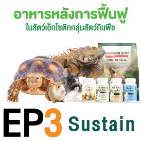 ep3. อาหารหลังการฟื้นฟู sustain