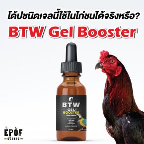 โด้ปชนิดเจลนี้ใช้ในไก่ชนได้จริงหรือ? ด้วย “BTW Gel Booster for Birds” โดย ผศ.น.สพ.ดร.สมโภชน์ วีระกุล