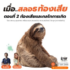 เมื่อสลอธท้องเสีย ตอนที่ 2 ท้องเสียและกลไกการเกิด
