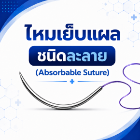 ไหมเย็บแผลชนิดละลาย (Absorbable Suture)
