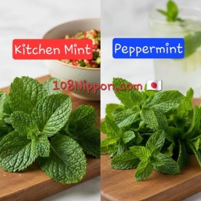 มิ้นต์ vs สะระแหน่: ญาติใกล้แต่ต่างรส thai-kitchen-mint-vs-peppermint