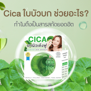 CICA ใบบัวบก ช่วยอะไร?  ทำไมถึงเป็นสารสกัดยอดฮิต