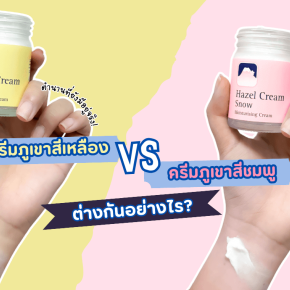 ครีมภูเขาสีชมพูกับครีมภูเขาสีเหลืองต่างกันอย่างไร hazel cream snow กับ hazeline snow ต่างกันยังไง ครีมสโนว์ ตราภูเขา ดีไหม ครีมภูเขาในตำนาน hazel cream snow pearl กับ hazel cream snow เฮสลีน สโนว์ สีชมพู ครีมภูเขาสมัยก่อน เฮสลีน สโนว์ สรรพคุณ ครีม hazelin