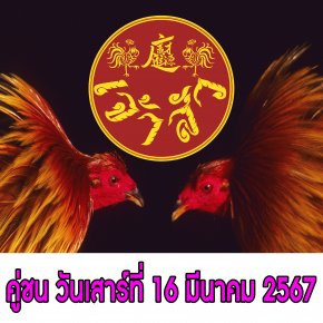 [51-56]  คู่ชน ประจำวันที่ 16 มีนาคม 2567