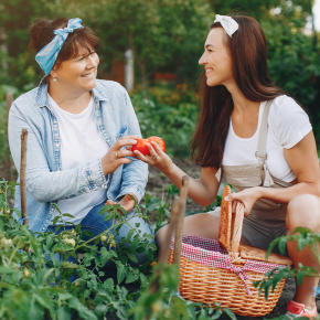 Top 7 Organic and Sustainable  Living Blogs to Follow