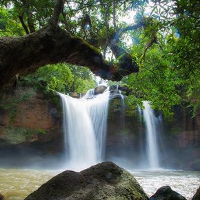 037PVT	Full day Khao Yai National Park + Hewsuwat Waterfall , Flower Farm +  Lunch + Guide