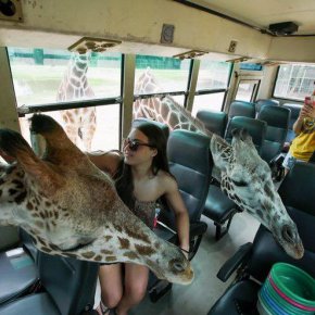 Kanchanaburi Day Tour with Giraffe 