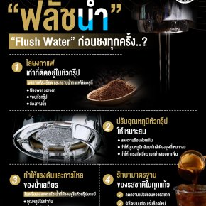 ทำไมบาริสต้าต้อง ฟลัชน้ำ ก่อนชงทุกครั้ง?