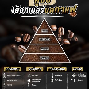 คู่มือเลือกเบอร์บดกาแฟ (Grind Size Guide)