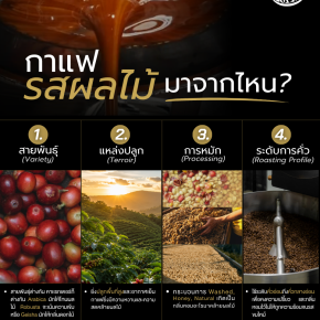 กาแฟรสผลไม้มาจากไหน ?