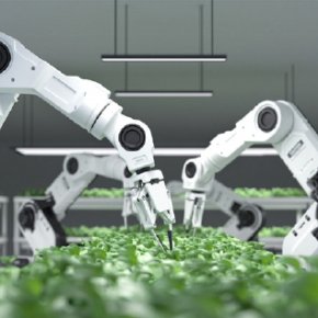 Stainless steel square tube