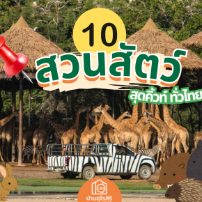 10 สวนสัตว์ ทั่วไทย