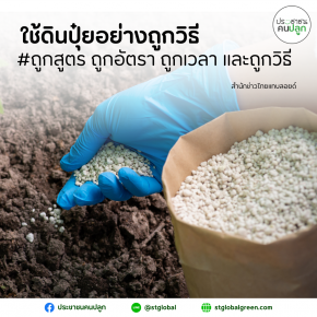 Use soil and fertilizer correctly