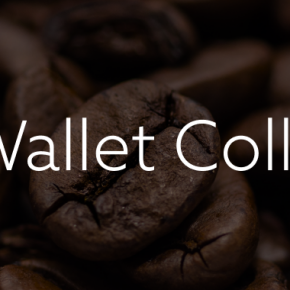 Card Wallet Collection - CWS015